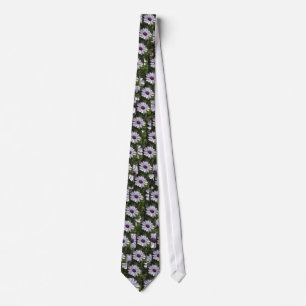 Osteospermum African Daisy Tie