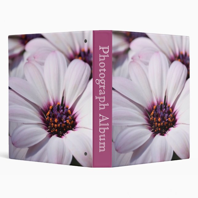 Osteospermum Binder (Background)