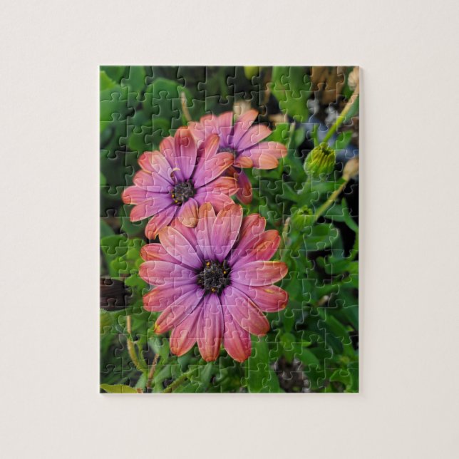 Osteospurmum Jigsaw Puzzle (Vertical)