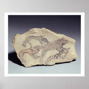 Ostracon depicting a dog chasing a hyena (limeston poster