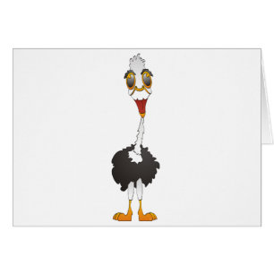 Ostrich