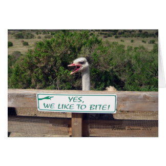 Ostrich