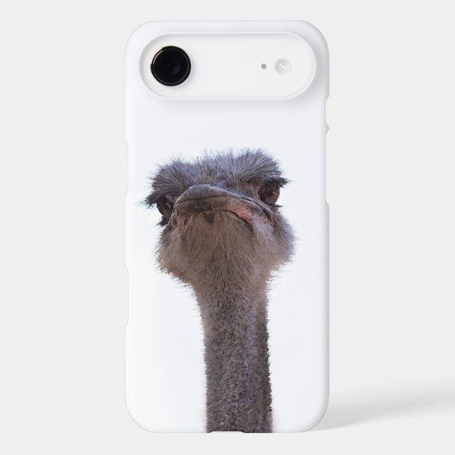 ostrich (Back)