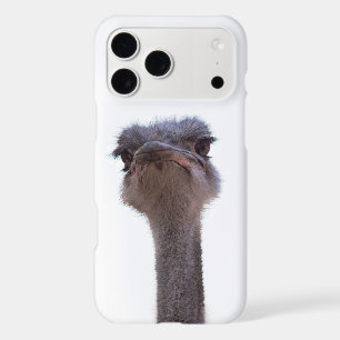 ostrich