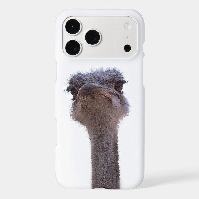 ostrich (Back)