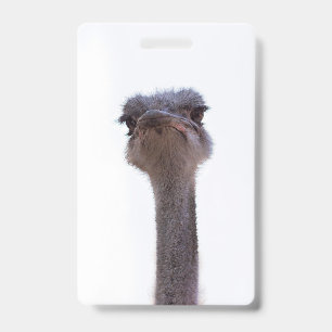 ostrich badge