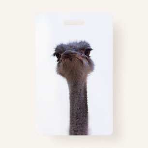 ostrich badge