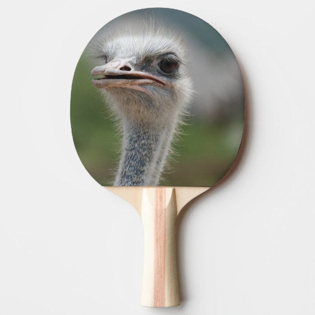 Ostrich Bird Ping Pong Paddle (Front)
