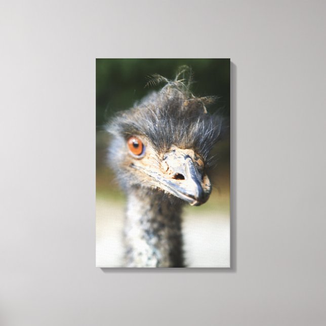 Ostrich Canvas Print (Front)