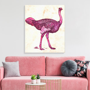 Ostrich  canvas print