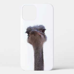 ostrich iPhone 12 case