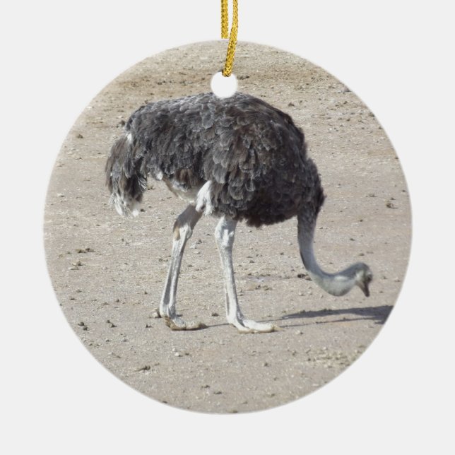 Ostrich Ceramic Ornament (Front)