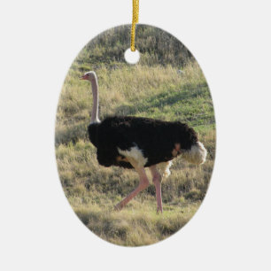 Ostrich Ceramic Ornament