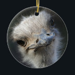 Ostrich Ceramic Ornament<br><div class="desc">Funny Ostrich Gift idea featuring an amusing head of an African Ostrich.</div>
