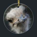 Ostrich Ceramic Ornament<br><div class="desc">Funny Ostrich Gift idea featuring an amusing head of an African Ostrich.</div>