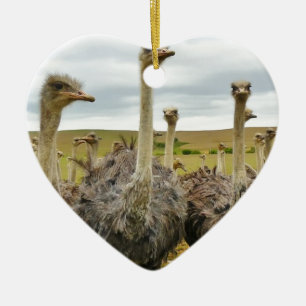 ostrich ceramic ornament