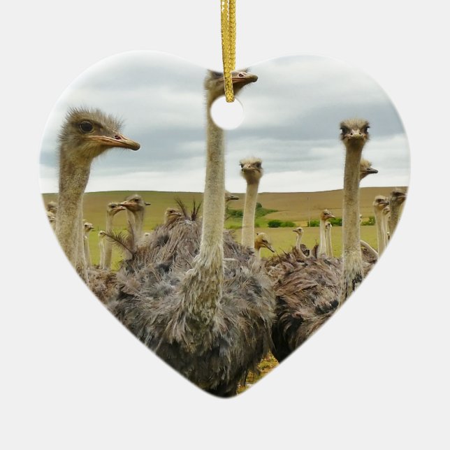 ostrich ceramic ornament (Front)