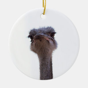 ostrich ceramic ornament