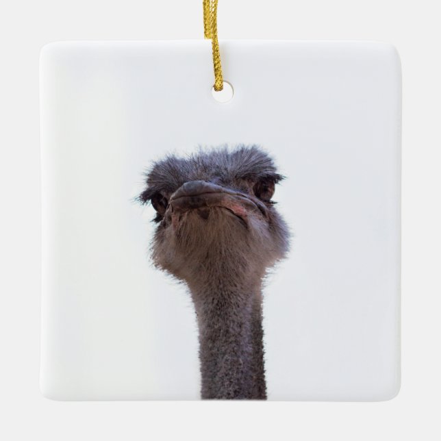 ostrich ceramic ornament (Front)