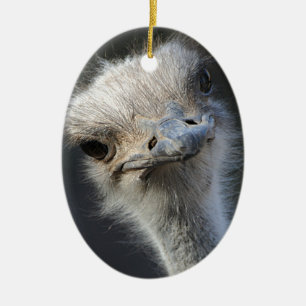 Ostrich Ceramic Ornament