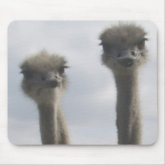 Ostrich Couple Mousepad