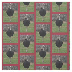 Ostrich Fabric