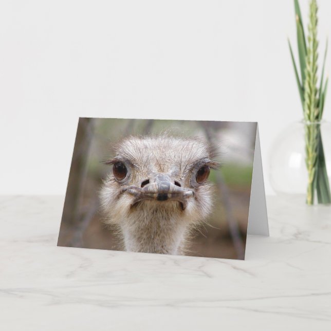 Ostrich face card (Front)