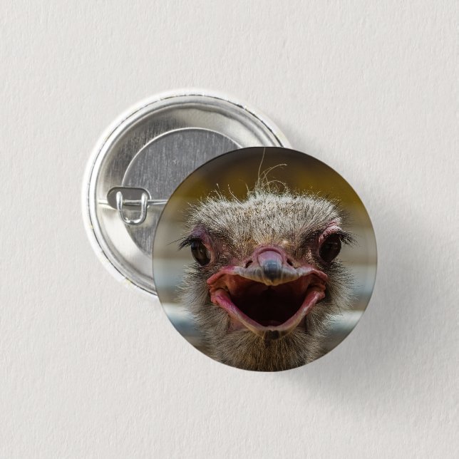 Ostrich Face Close-up 1 Inch Round Button (Front & Back)