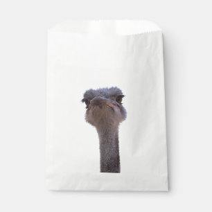 ostrich favour bag