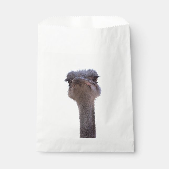 ostrich favour bag (Front)