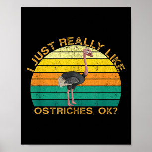 Ostrich Funny Animal Quote With Vintage Shape Desi Poster
