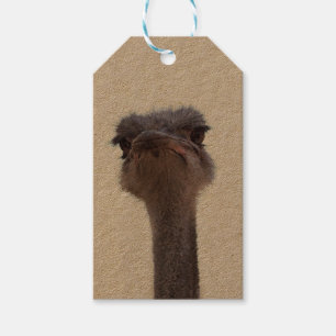 ostrich gift tags