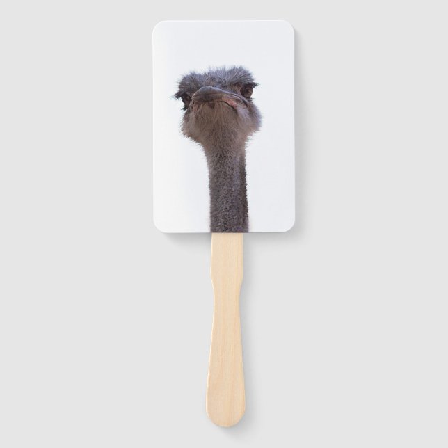 ostrich hand fan (Front)