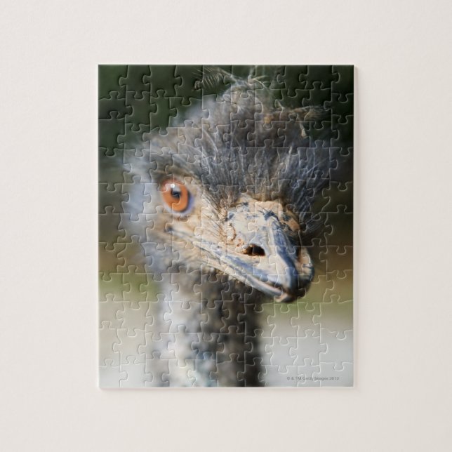 Ostrich Jigsaw Puzzle (Vertical)