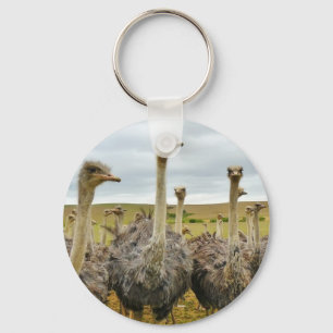 ostrich keychain