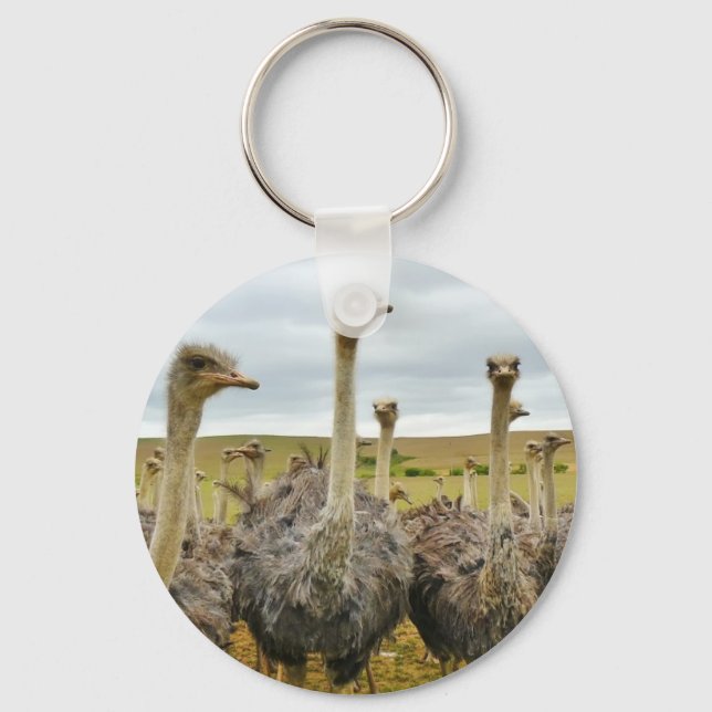 ostrich keychain (Front)