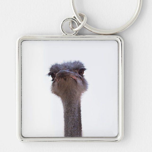 ostrich keychain (Front)
