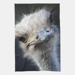 Ostrich Kitchen Towel