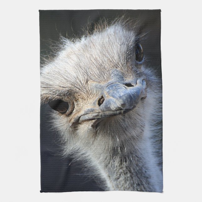 Ostrich Kitchen Towel (Vertical)