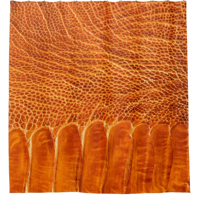 Ostrich leather texture (Front)