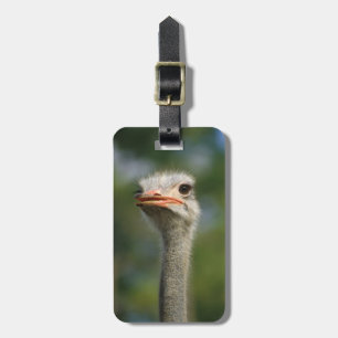 ostrich luggage tag