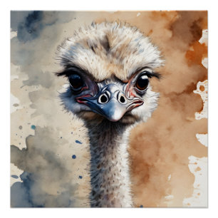Ostrich no 1 Glossy Poster