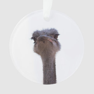 ostrich ornament