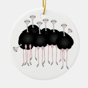 Ostrich Ornament