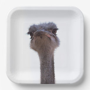 ostrich paper plate