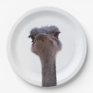ostrich paper plate