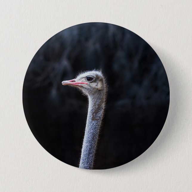 Ostrich Photography 3 Inch Round Button (Front)