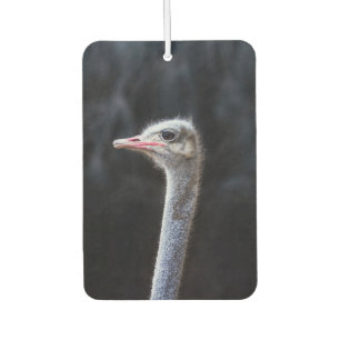 Ostrich Photography Air Freshener