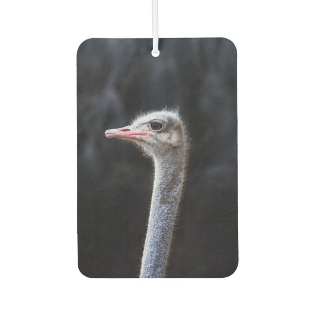 Ostrich Photography Air Freshener (Front)