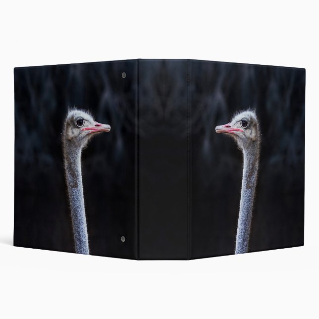 Ostrich Photography Binder (Background)